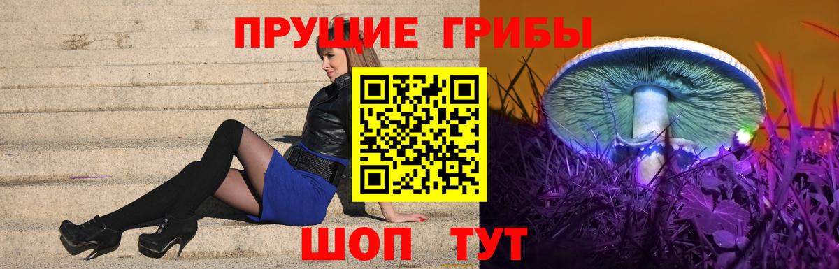 Галлюциногенные грибы Psilocybe Татарск