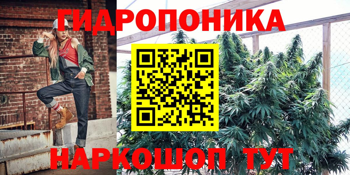 Канабис ГИДРОПОН  Конопля индика  Вход с VPN  Марихуана сатива  Татарск 